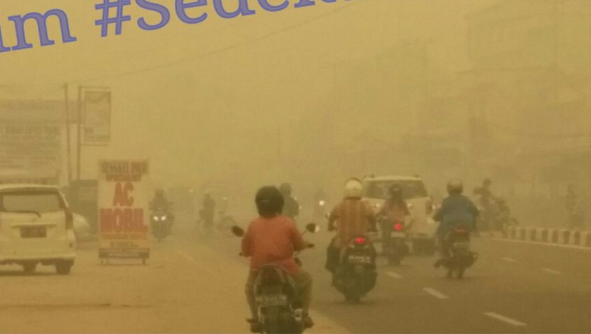 Enam Bulan Tanpa Matahari: Palangkaraya di Tengah Kabut Asap,&nbsp;2015